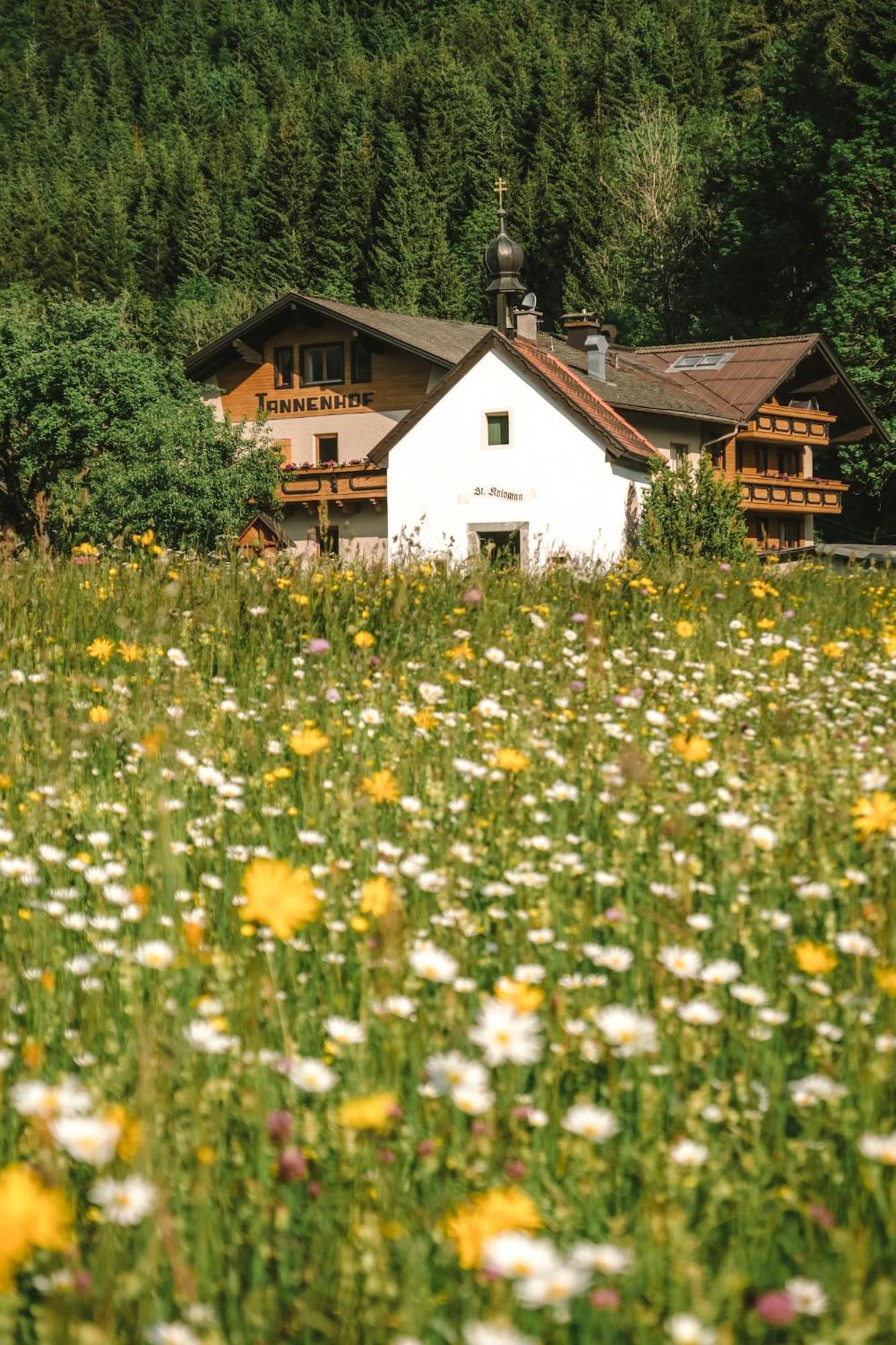 Der Tannenhof Hotel Reutte Exterior foto